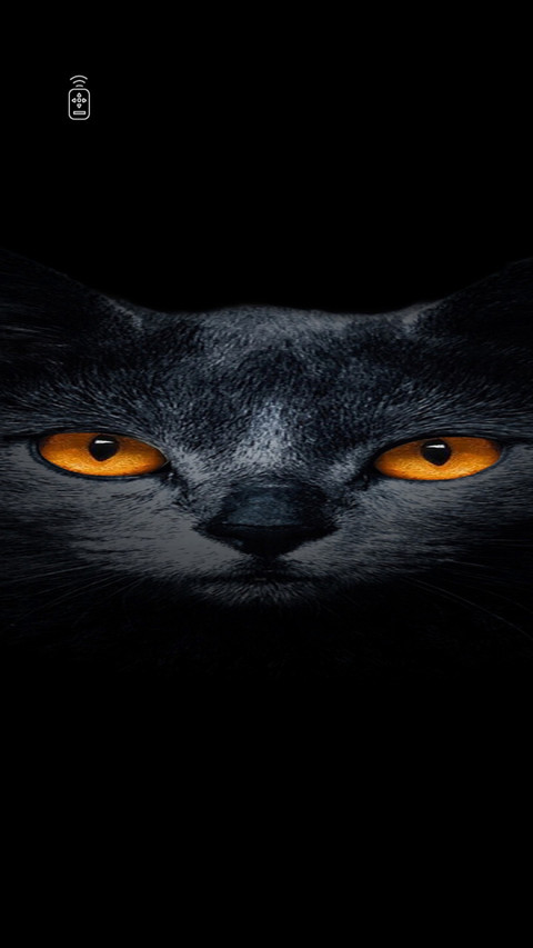 黑猫睁眼 screenshot