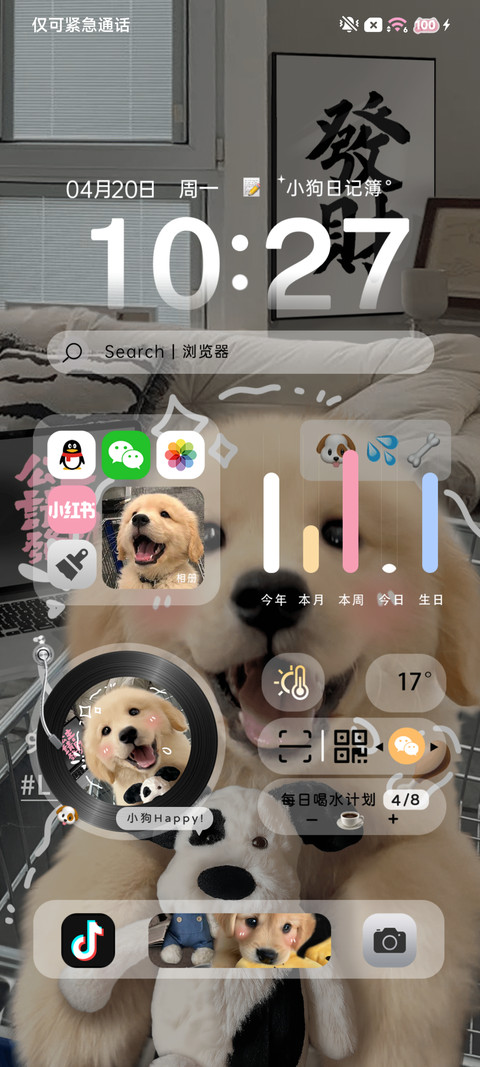 治愈发财金毛 screenshot