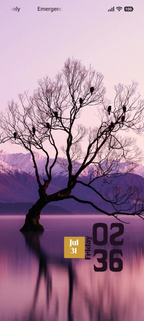 Lake Reflection screenshot