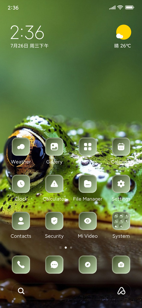 Frog screenshot