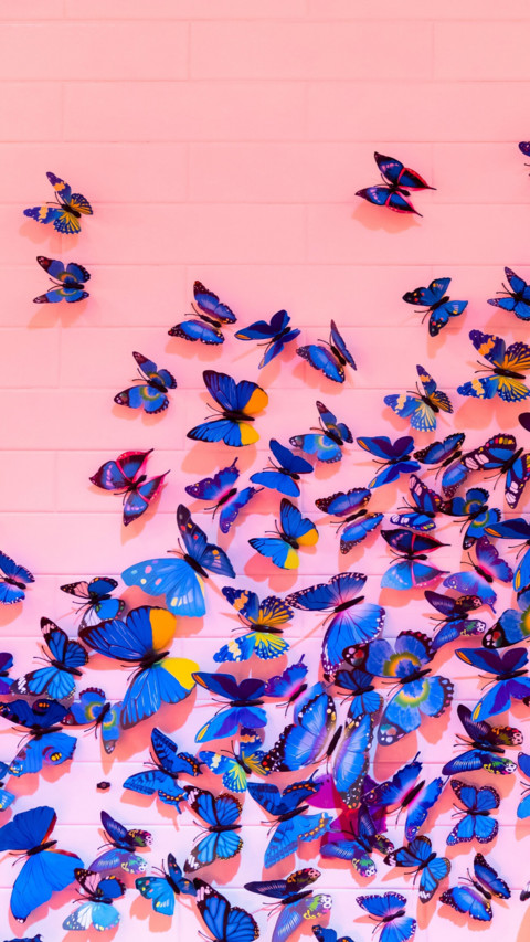 Butterfly screenshot