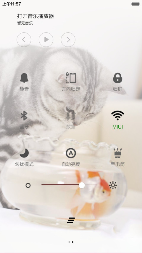 猫和金鱼 screenshot