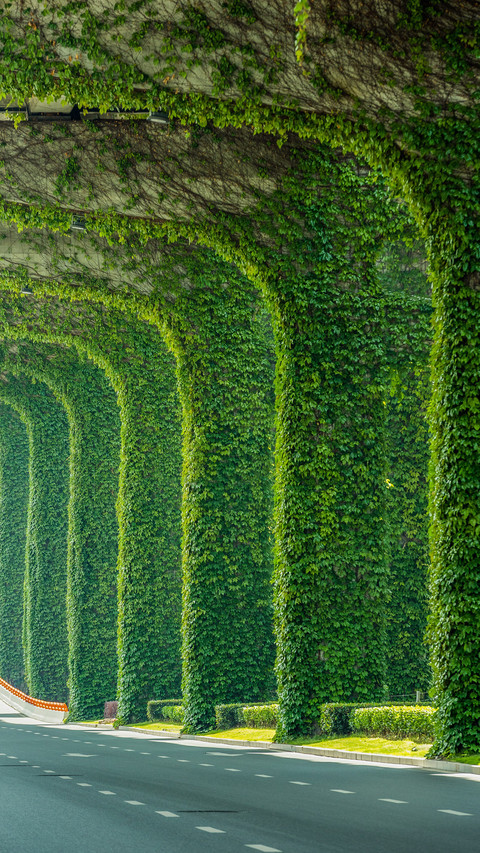 Elevated transformation into green corridor screenshot