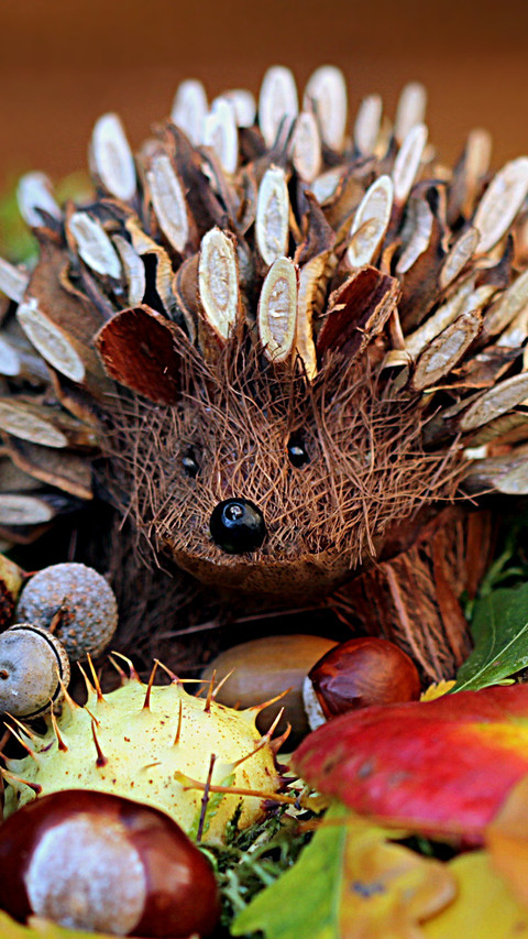 Hedgehog (4) screenshot
