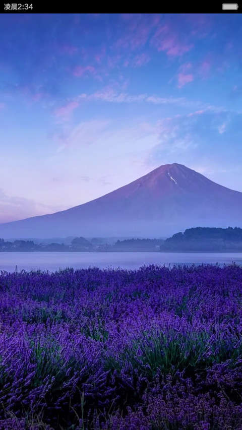 彼岸花开 screenshot
