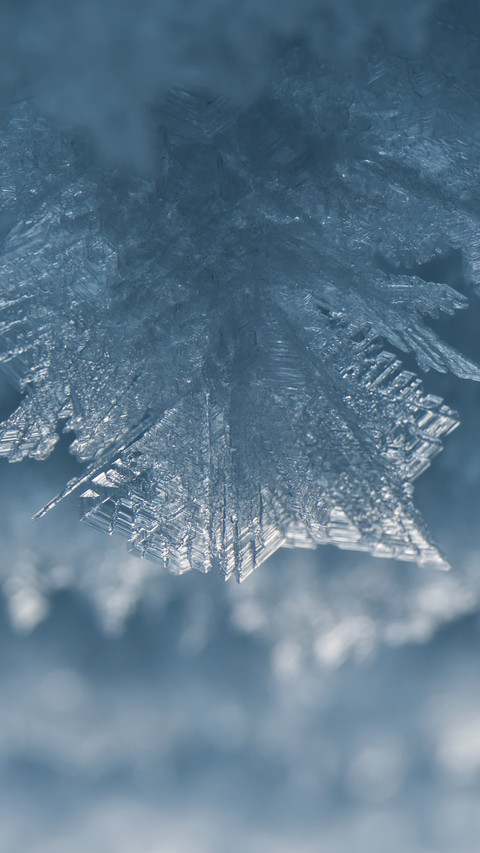 Frost flowers adorn indonesian car windows screenshot