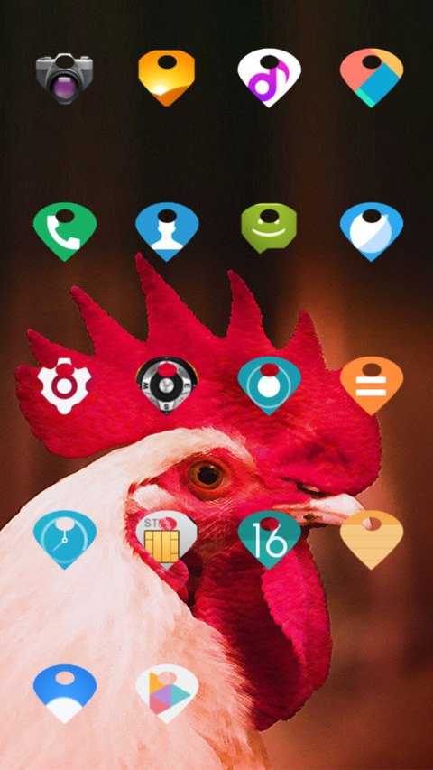 Chicken_DWM19 screenshot