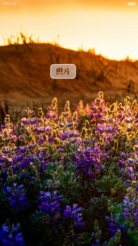 百花缭乱（动态六锁屏+音乐时钟+全图标覆盖） screenshot
