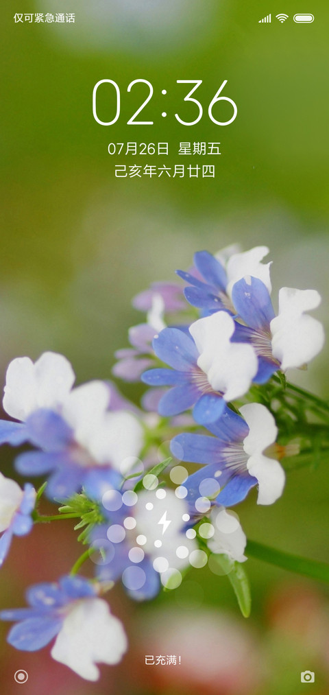 清新护眼一枝花 screenshot