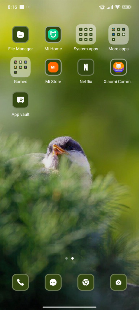 Spring Bird screenshot