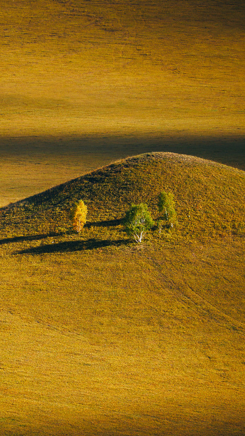 Encounter the golden autumn of the grassland 2 screenshot