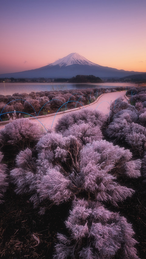 Mount fuji in japan is about to erupt screenshot