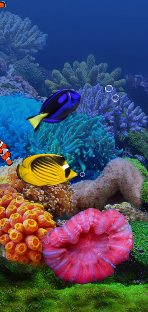 超级梦幻水族馆 screenshot