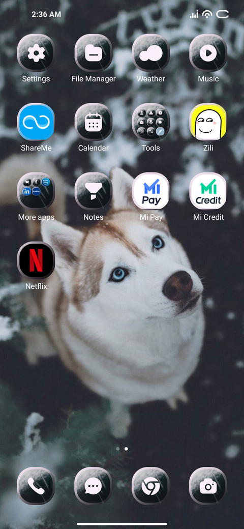 Cute Animal screenshot