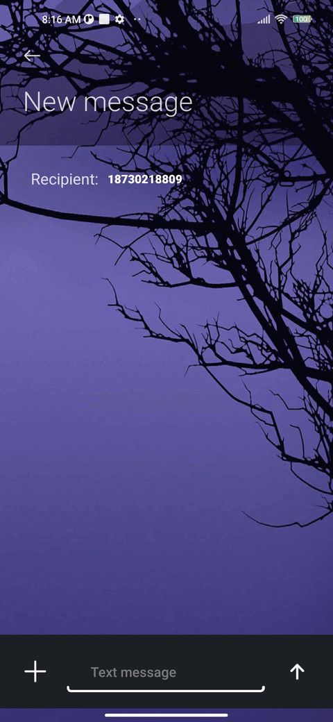  blue sea  trees screenshot
