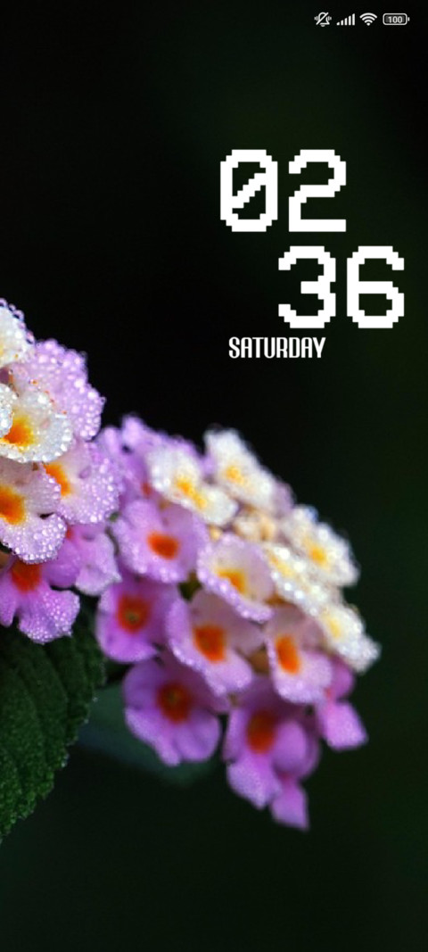 Petal screenshot