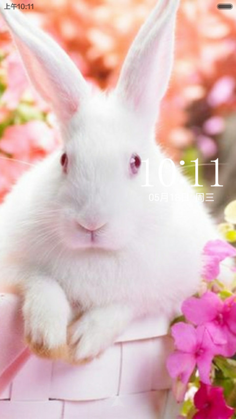 胖兔   兔 screenshot