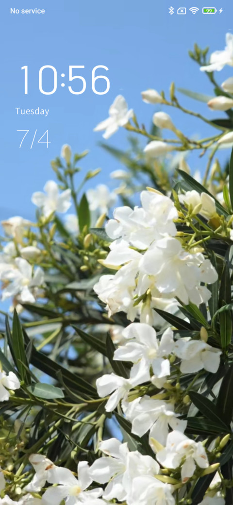 Blossoms screenshot