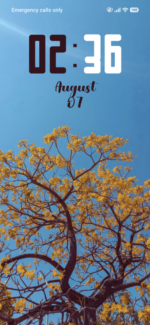 Spring screenshot