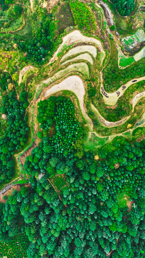 The terraced fields of Guizhou are layered one upon another screenshot
