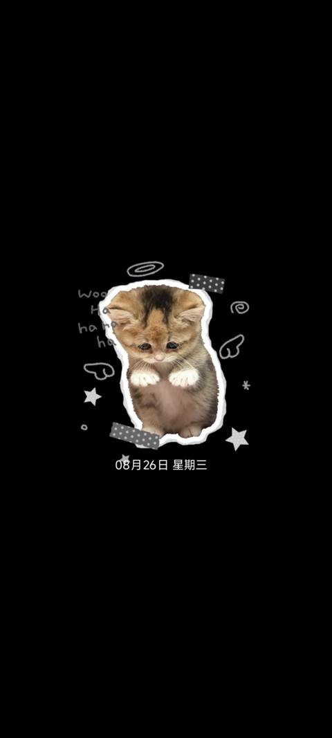 小猫困困的 screenshot