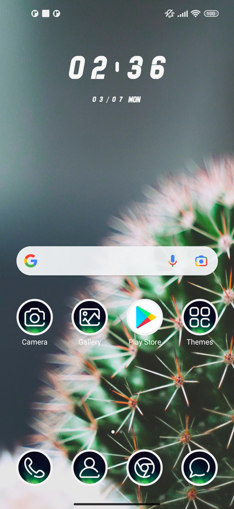 OrnaCactus screenshot
