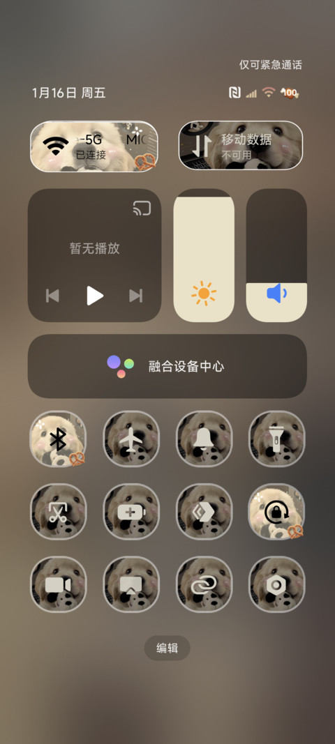 美拉德小金毛涂鸦 screenshot