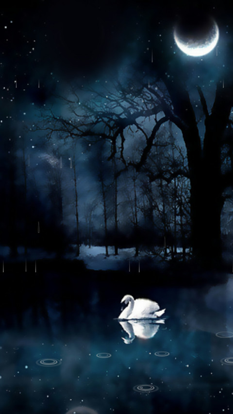 唯美月夜 screenshot
