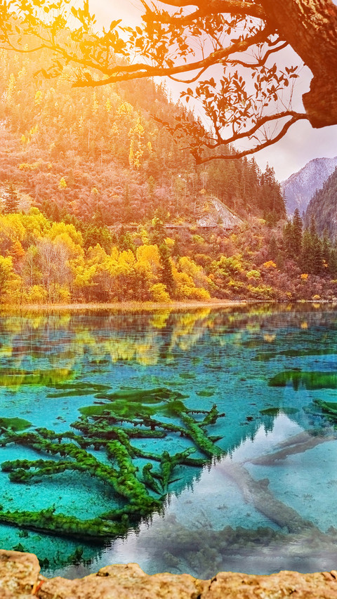 美如油画的风景 screenshot