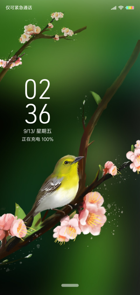 鸟语 screenshot