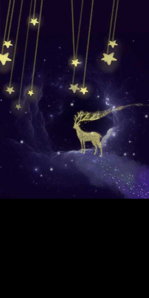 ZLXK NY V10 screenshot