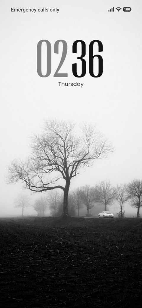 Foggy Solitude screenshot
