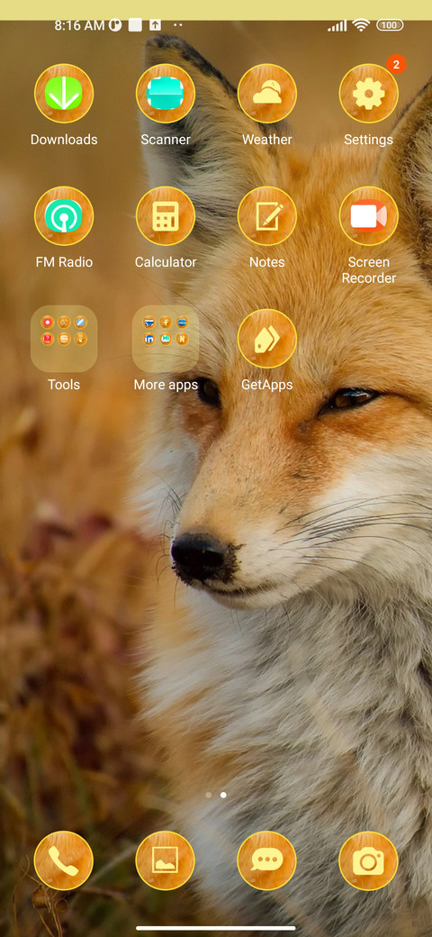 wildlife fox screenshot
