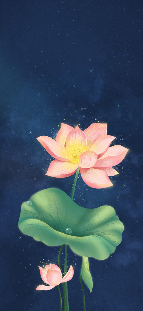 唯美夜韵荷花 screenshot