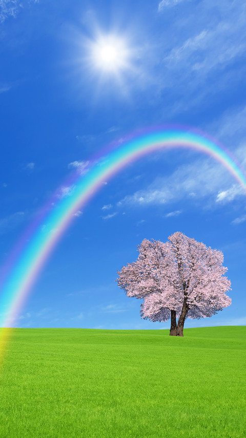 Sakura Tree on the Green Hill screenshot