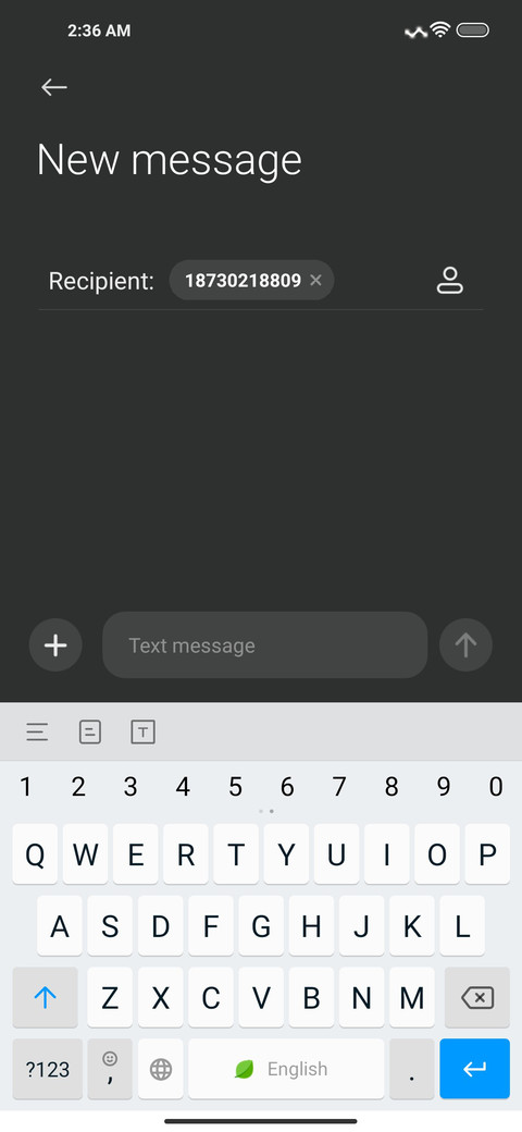 Pixel Pi IZ V13 screenshot