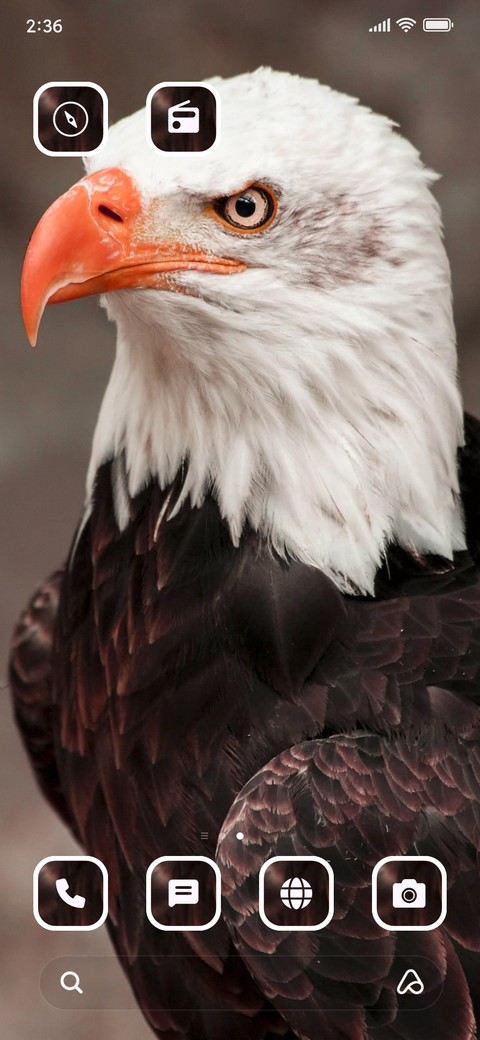 Eagle Eye_3MDS screenshot