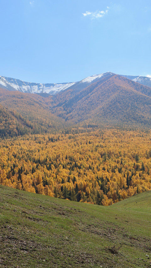 The autumn charm paints all the peaks screenshot