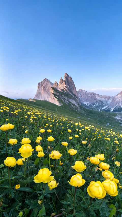 The cool summer scene of secheda screenshot