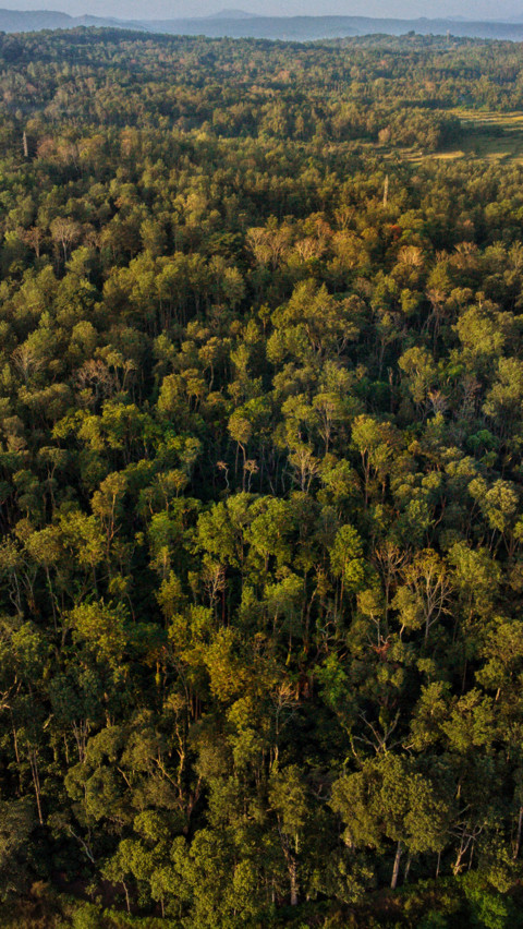 DJI_0999-07 screenshot
