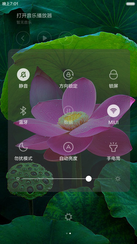 微山湖荷花（高清壁纸) screenshot