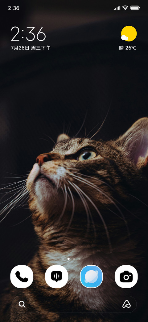Shadow Paws screenshot