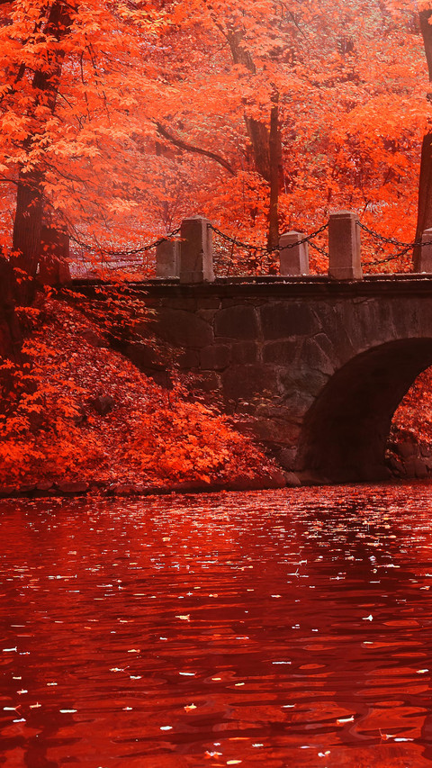 Beginning of Autumn screenshot