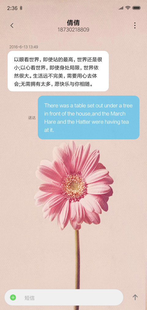 秋菊名花 screenshot
