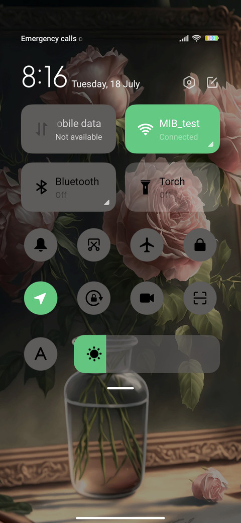  pink roses screenshot