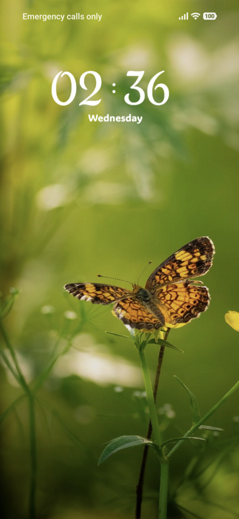 Green Fly screenshot