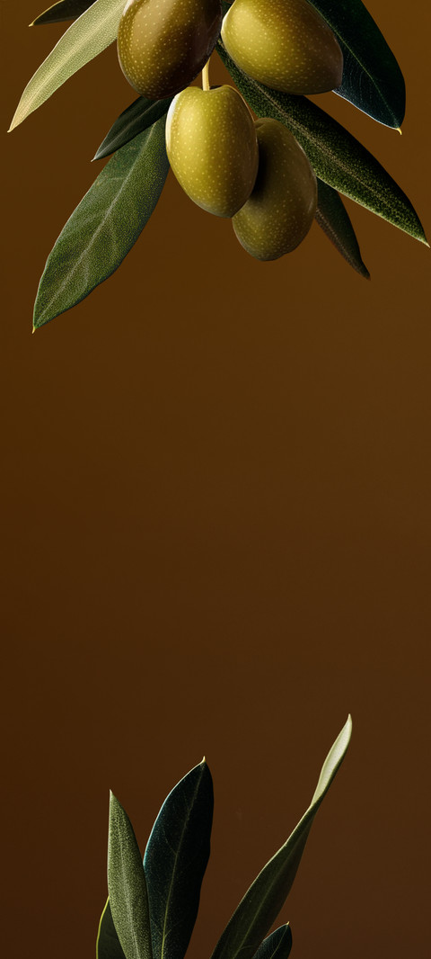 东方美学 screenshot