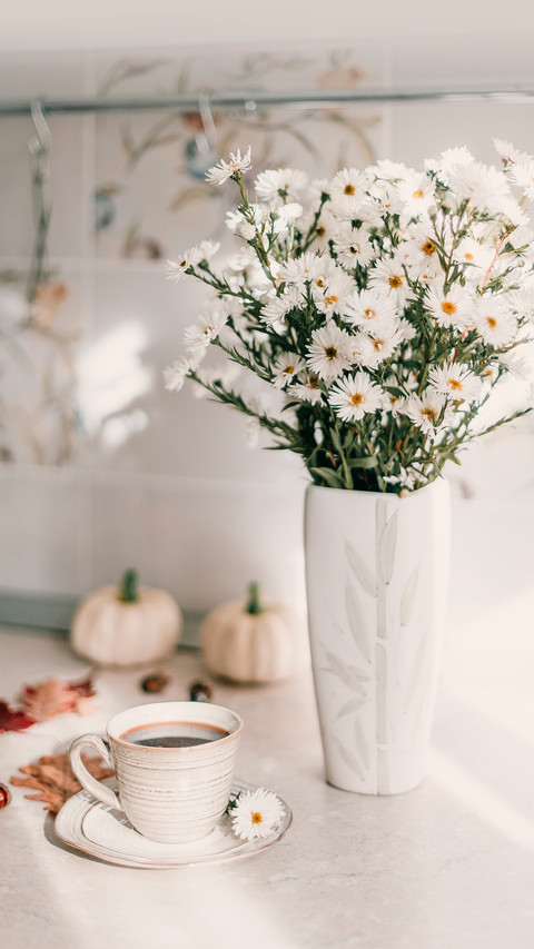 White purple garden flowers screenshot