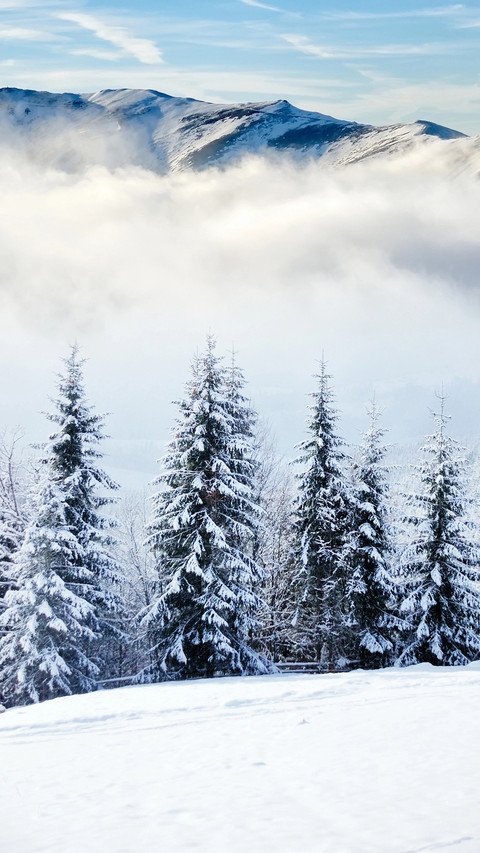 Snow and ice beauty screenshot