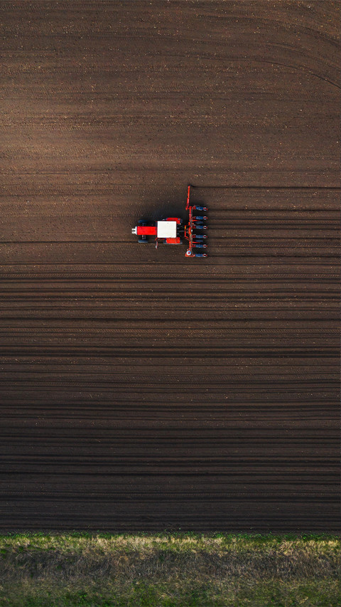 Beautiful view of the farmland screenshot